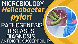 Helicobacter pylori pathogenesis  H pylori virulence factors  H pylori test [upl. by Eiddet]