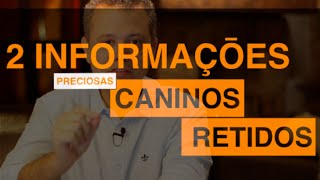 CANINOS RETIDOS  Duas Informações PRECIOSAS da Panorâmica  Ortodontia Professor Hélio Venâncio [upl. by Anaiad]