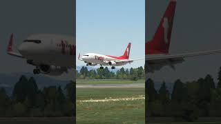 플심 티웨이항공 B737 활주로가 짧은 사가공항 착륙 msfs landing tway aviation planespotting b737 saga [upl. by Vin]