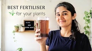 Best Fertiliser for Plants at Home [upl. by Lodie470]