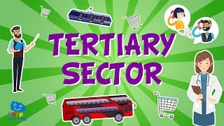 The Tertiary Sector  Jobs and their classification  Educational Videos for Kids [upl. by Coulter]