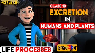 🔥🔥🔥NCERT Science Class 10 Chapter 5  Part13  Life Processes  Excretion In Humans And Plants🔥🔥🔥 [upl. by Hujsak]