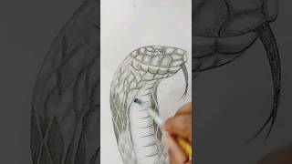 realistic snake face drawing easyrgldrawingart1992 snakeviralvideo shortsartyoutubeshorts [upl. by Nnair250]