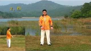 Tai Chi Chuan 28 Forms by Master James FuFu Qing Quan  Authentic Yang Style [upl. by Wind560]