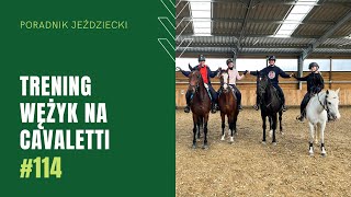 WĘŻYK NA CAVALETTI  Poradnik Jeździecki 114 [upl. by Irma217]