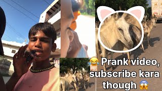 😱 gaddha Prank video 😂comets comedymovies [upl. by Barna]