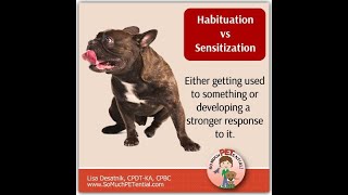 Habituation vs sensitization [upl. by Annelise]