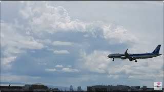 伊丹空港！Plane Spotting Live Osaka International Airport 10022024 [upl. by Elmore896]