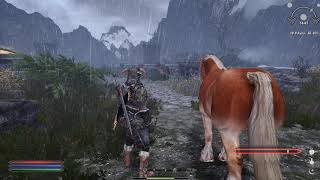 Chevaux Immersifs Skyrim SE [upl. by Grider]