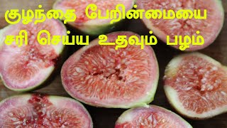 Benefits of Fig fruit in TamilTamilAnjeer uses in TamilTamilneithal [upl. by Auhsaj330]