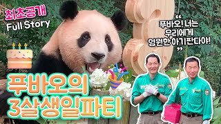 최초공개 푸바오의 3살 생일파티 풀 스토리 I FuBaos 3rd Birthday Party Full Story 에버랜드 판다월드 [upl. by Cobb]