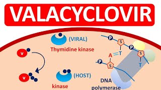 Valacyclovir Tablets VALTREX for herpes infections [upl. by Barimah809]