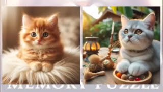 Memory Game for Kids Cats Memory Game Puzzle Easy Mode  Memory Games [upl. by Thackeray]