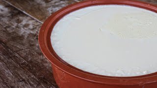 Πως να φτιάξετε το τέλειο Γιαούρτι  How to make the perfect Greek Yogurt [upl. by Aivull]