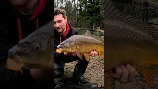 TRAILER 💥thefishermanfriend trailer short fishing carp angeln karpfen vlog commingsoon [upl. by Willey554]