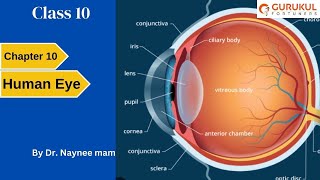 class 10 Human eye and colorful world CBSE lec 4rainbow other natural phenomena refraction [upl. by Ladd351]