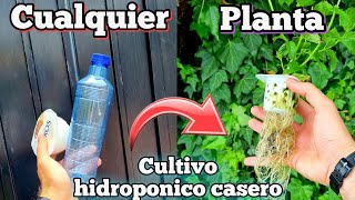 CULTIVA cualquier PLANTA en AGUA Cultivo hidroponico casero para HUERTO urbano Fresa hidroponica [upl. by Aissela]