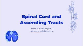 Spinal Cord amp Ascending Tracts  Dana Almazroua  NEU 241 PAL review session [upl. by Rivi309]