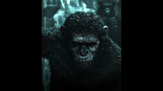 DAWN OF THE PLANET OF THE APES EDIT  CAESAR amp KOBA APES dawnoftheplanetoftheapes j6ffedit [upl. by Hnilym620]