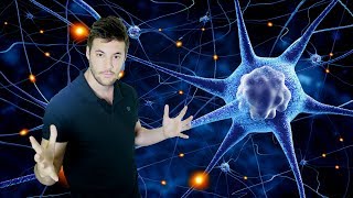 Cómo utilizar los dos hemisferios del cerebro EL PODER DE LA MENTE [upl. by Keiryt180]