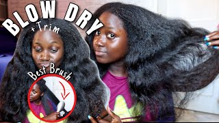 Blow Dryer brush is better than RevlonThe ONLY Blow dry routine you need Blow dry Natural Hair [upl. by Adorl]