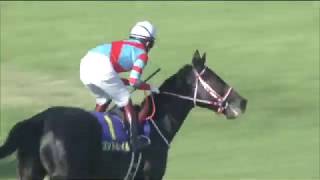 20200419 Satsuki Sho Japanese 2000 Guineas  Contrail [upl. by Bernat]