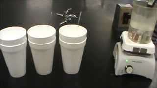 Calorimetry Experiment with different metals [upl. by Davine671]