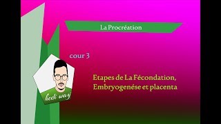 la procréation  03 Etapes de La Fécondation Embryogenése et placenta  Bac tunisie [upl. by Hidie]