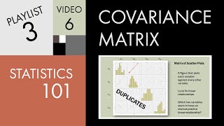 Statistics 101 The Covariance Matrix [upl. by Hewet490]