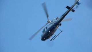 LAPD AS350 Helicopter Circling Over Venice CA [upl. by Olocin758]