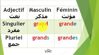 orthographe 10  laccord de ladjectif qualificatif تبعية النعت للمنعوت [upl. by Anertak919]