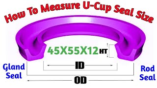 How To Measure UCup Seal Size । Rod Seal । Hydraulic Cylinder Seal Types [upl. by Carce]