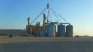 BARG Feedyard  Hereford Texas  Custom Cattle Feeding [upl. by Millur]