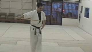 Bokken Kata 1 [upl. by Ellita]