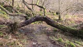 The Drovers to Doune Byre Bothy 16 1 23 [upl. by Fransisco976]