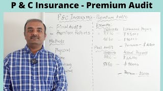 P amp C Insurance  Premium Audit [upl. by Colan409]