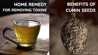 Home Remedy to Remove Toxins  Health Benefits Of Cumin  Jeera Water  Best Ways To Use Cumin [upl. by Alemac611]