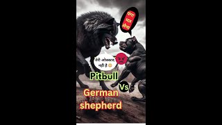 Pitbull vs German shepherd dog real fight pitbullfight pitbull fight attack rottweilerfight [upl. by Janicki]