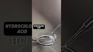 Hydrochloric and more acid experiment experiment chemical chemistry education shorts youtube [upl. by Tocs]