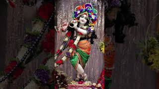 Tere murli ki dhun song bhakti [upl. by Bourque]