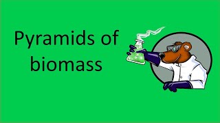 Pyramids of biomass [upl. by Beach163]