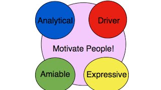 How to Motivate the 4 Personality Types  How to Speak The Secret Language of Personality Styles [upl. by Melly]