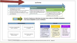 définition de la différenciation pédagogique [upl. by Fasa]