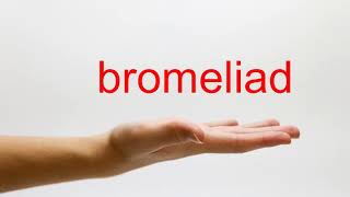 How to Pronounce bromeliad  American English [upl. by Ennaer]