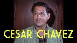 Take Action Urge a Cesar Chavez National Day of Service [upl. by Akerdna]