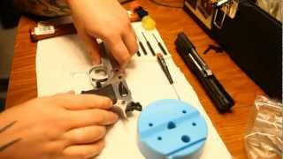 Remove Hammer Hammer Spring And Sear Housing From EAA Tanfoglio Witness Elite Match [upl. by Mientao]