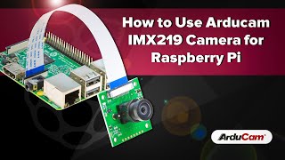 Tutorial How to Use Arducam IMX219 Camera for Raspberry Pi [upl. by Etnoel298]