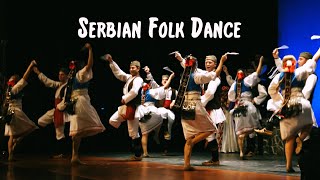 Serbian Folk Dance  The Tamburitzans [upl. by Downall]