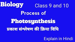 Process of photosynthesis Biology  प्रकाश संश्लेषण की क्रिया विधि [upl. by Tratner]