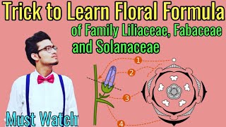 Trick to Write Floral Formulas of Family Fabaceae Solanaceae amp Liliaceae  Morphology via NCERT [upl. by Bodi983]